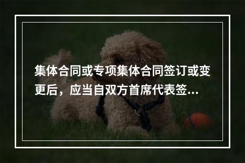 集体合同或专项集体合同签订或变更后，应当自双方首席代表签字之