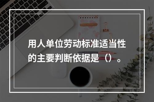 用人单位劳动标准适当性的主要判断依据是（）。