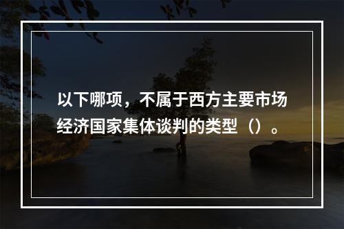 以下哪项，不属于西方主要市场经济国家集体谈判的类型（）。