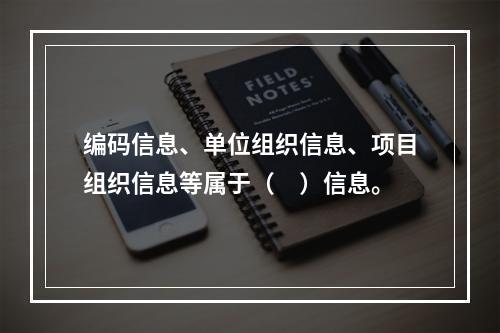 编码信息、单位组织信息、项目组织信息等属于（　）信息。