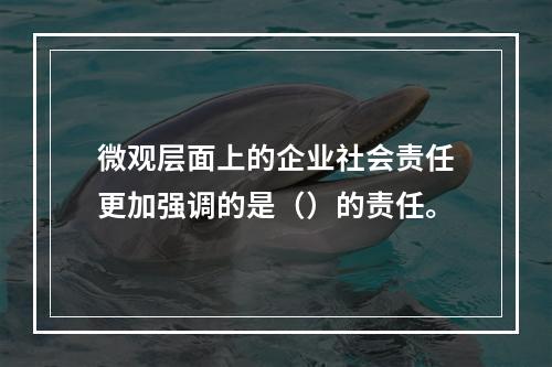 微观层面上的企业社会责任更加强调的是（）的责任。