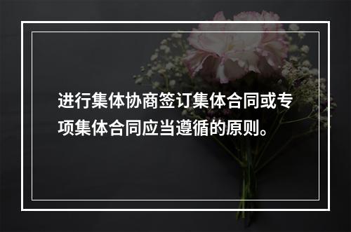 进行集体协商签订集体合同或专项集体合同应当遵循的原则。