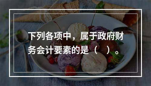 下列各项中，属于政府财务会计要素的是（　）。