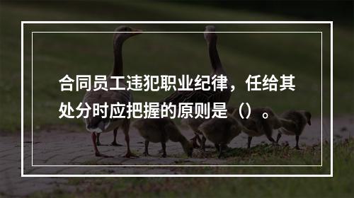 合同员工违犯职业纪律，任给其处分时应把握的原则是（）。