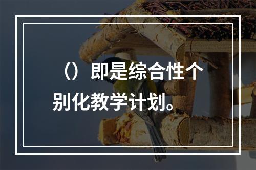 （）即是综合性个别化教学计划。