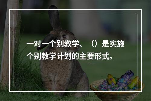 一对一个别教学、（）是实施个别教学计划的主要形式。