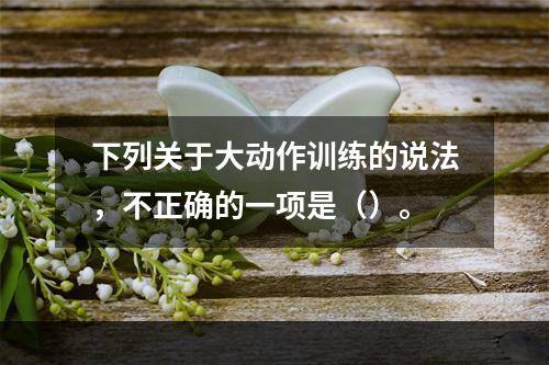 下列关于大动作训练的说法，不正确的一项是（）。