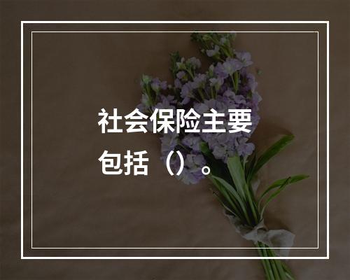 社会保险主要包括（）。