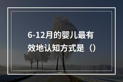 6-12月的婴儿最有效地认知方式是（）