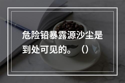 危险铅暴露源沙尘是到处可见的。（）