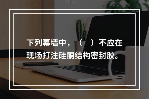 下列幕墙中，（　）不应在现场打注硅酮结构密封胶。