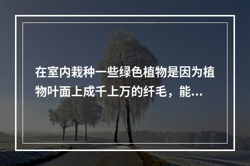 在室内栽种一些绿色植物是因为植物叶面上成千上万的纤毛，能够截