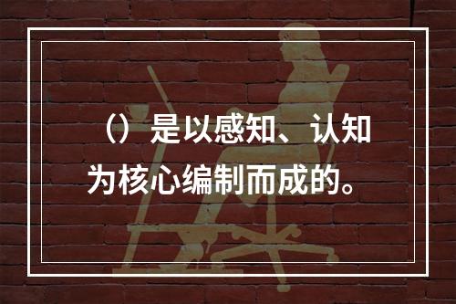 （）是以感知、认知为核心编制而成的。