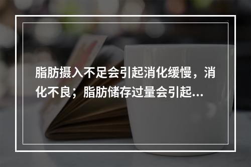 脂肪摄入不足会引起消化缓慢，消化不良；脂肪储存过量会引起肥胖