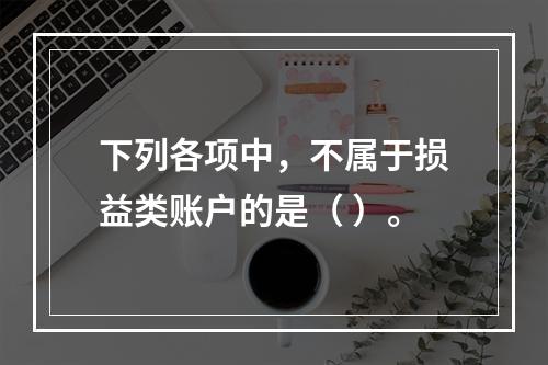 下列各项中，不属于损益类账户的是（ ）。