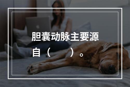 胆囊动脉主要源自（　　）。