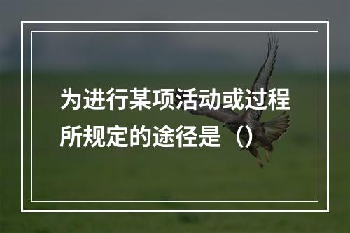 为进行某项活动或过程所规定的途径是（）