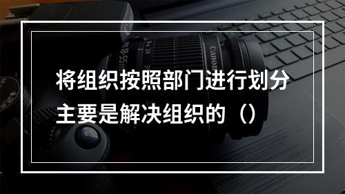 将组织按照部门进行划分主要是解决组织的（）