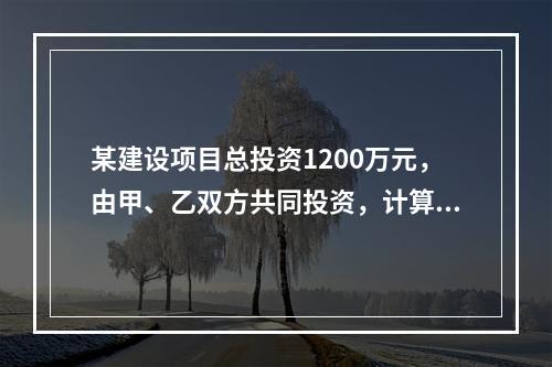 某建设项目总投资1200万元，由甲、乙双方共同投资，计算期为