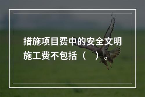 措施项目费中的安全文明施工费不包括（　）。