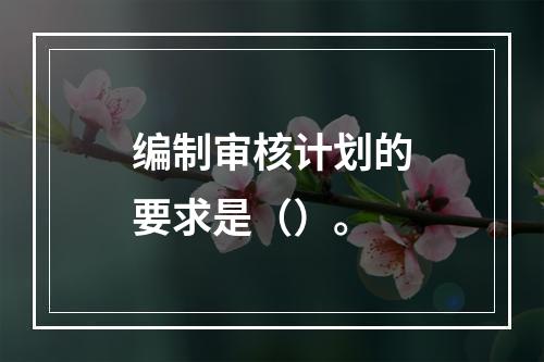 编制审核计划的要求是（）。