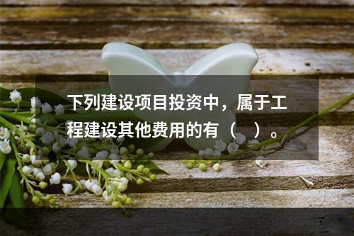 下列建设项目投资中，属于工程建设其他费用的有（　）。