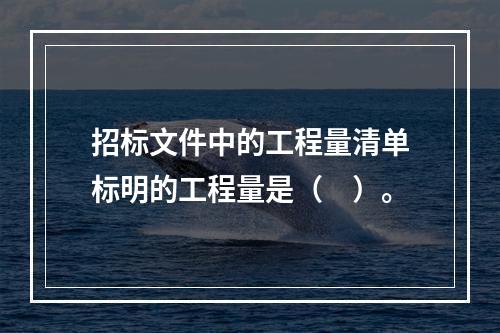 招标文件中的工程量清单标明的工程量是（　）。