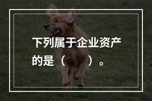 下列属于企业资产的是（　　）。