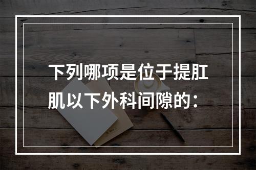 下列哪项是位于提肛肌以下外科间隙的：