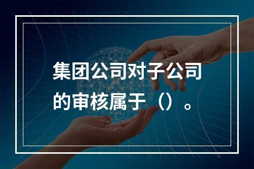 集团公司对子公司的审核属于（）。