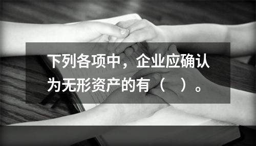 下列各项中，企业应确认为无形资产的有（　）。