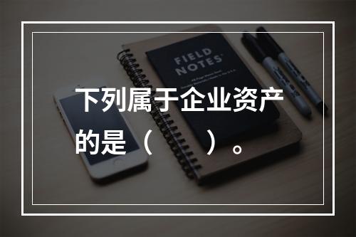 下列属于企业资产的是（　　）。