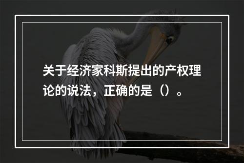 关于经济家科斯提出的产权理论的说法，正确的是（）。