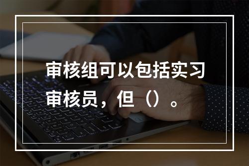 审核组可以包括实习审核员，但（）。