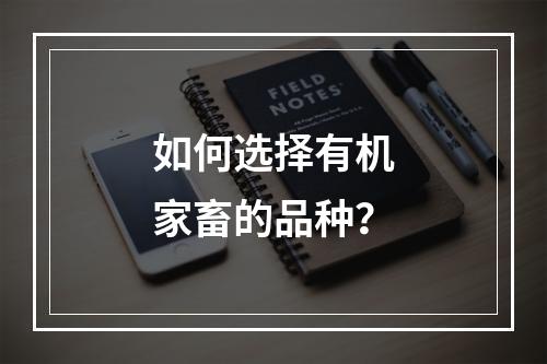 如何选择有机家畜的品种？