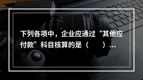 下列各项中，企业应通过“其他应付款”科目核算的是（　　）。