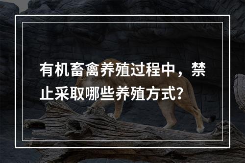 有机畜禽养殖过程中，禁止采取哪些养殖方式？