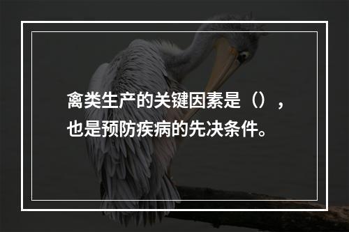 禽类生产的关键因素是（），也是预防疾病的先决条件。