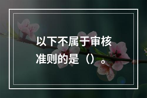 以下不属于审核准则的是（）。