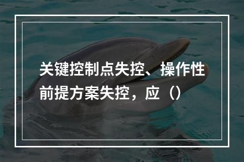 关键控制点失控、操作性前提方案失控，应（）