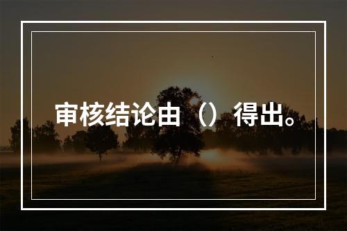 审核结论由（）得出。