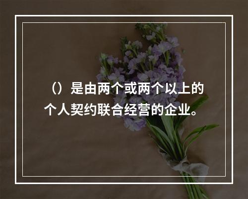 （）是由两个或两个以上的个人契约联合经营的企业。