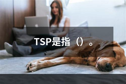 TSP是指（）。