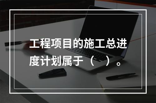 工程项目的施工总进度计划属于（　）。