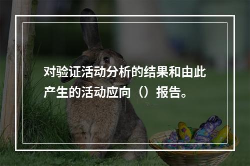 对验证活动分析的结果和由此产生的活动应向（）报告。