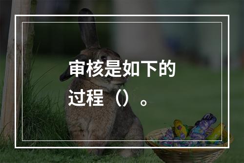 审核是如下的过程（）。