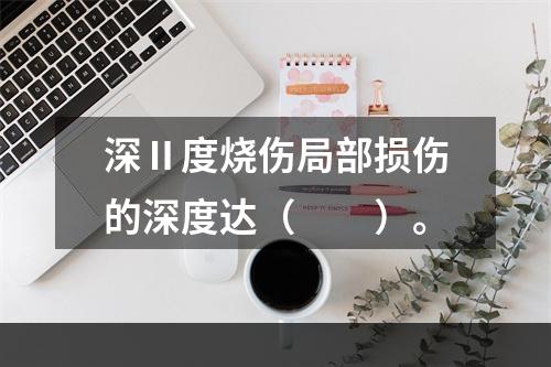 深Ⅱ度烧伤局部损伤的深度达（　　）。