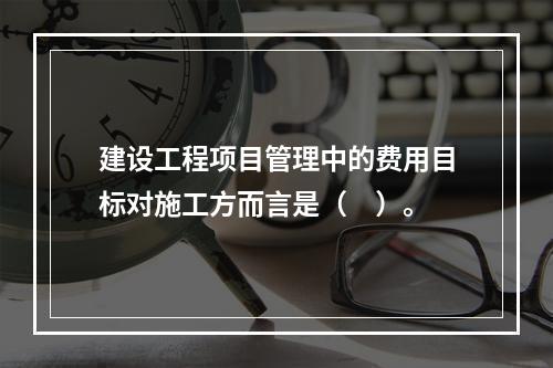 建设工程项目管理中的费用目标对施工方而言是（　）。