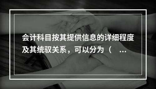 会计科目按其提供信息的详细程度及其统驭关系，可以分为（　　）