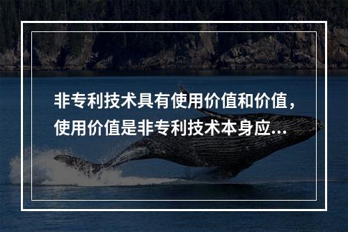 非专利技术具有使用价值和价值，使用价值是非专利技术本身应具有